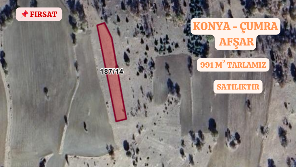 KONYA ÇUMRA AFŞARI KÖYÜNDE 991 M²TARLA SATILIKTIR. - KONYA ÇUMRA fotoğraf 3